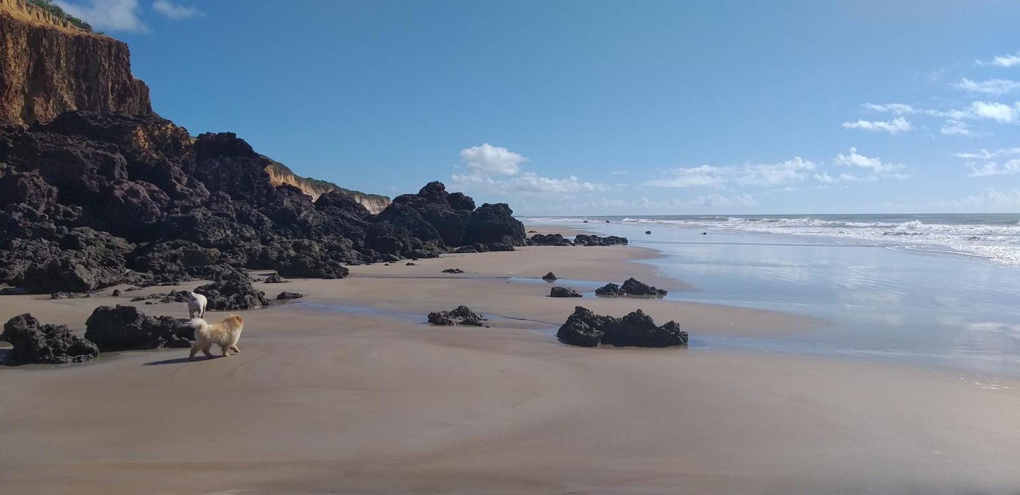 Casa Na Praia Com Piscina Costa Dourada Værelse billede